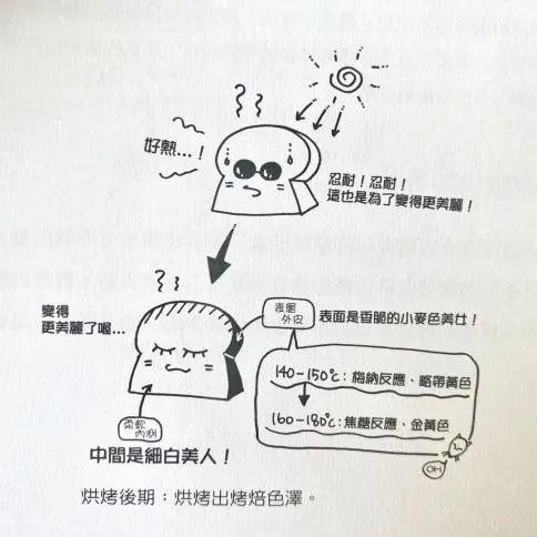 為什么烤好的面包顏色那么好看?面包的色澤從哪里來的?